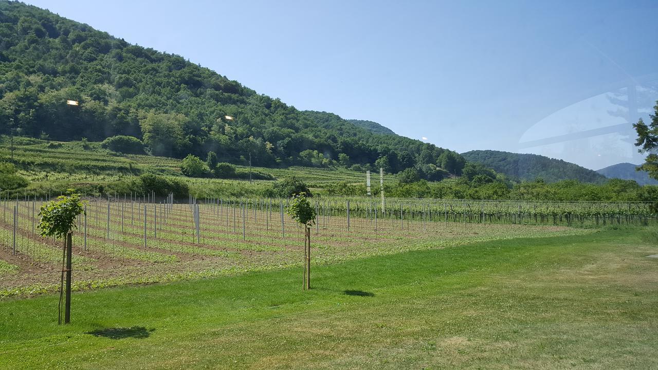 Gasthof Zur Wachau Hofarnsdorf Zewnętrze zdjęcie